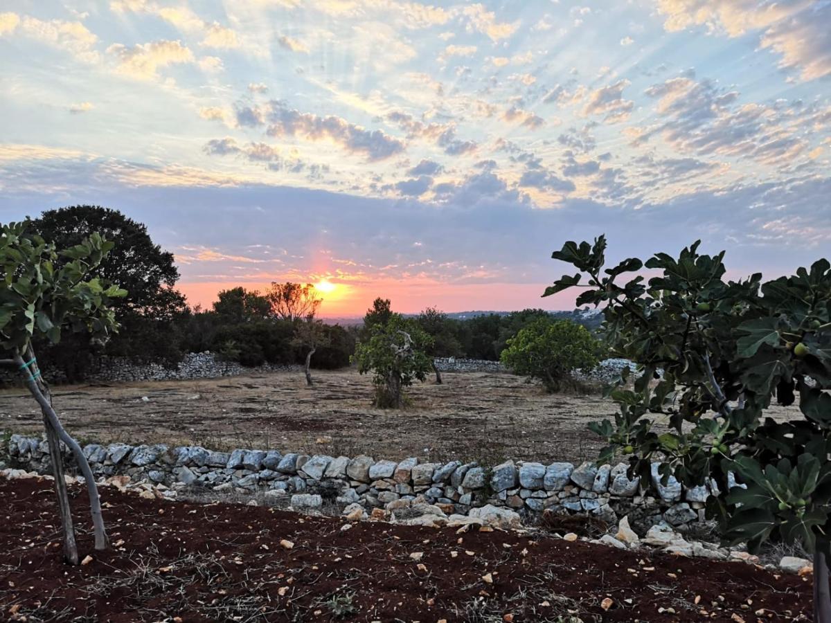 Dimora Verde B Con Trullo Masseria Poesia Cisternino Buitenkant foto