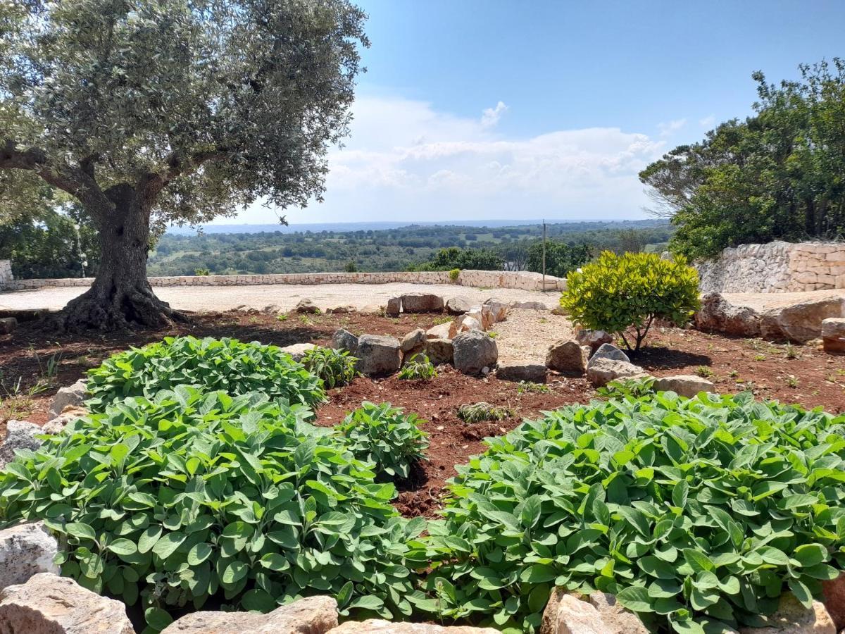Dimora Verde B Con Trullo Masseria Poesia Cisternino Buitenkant foto