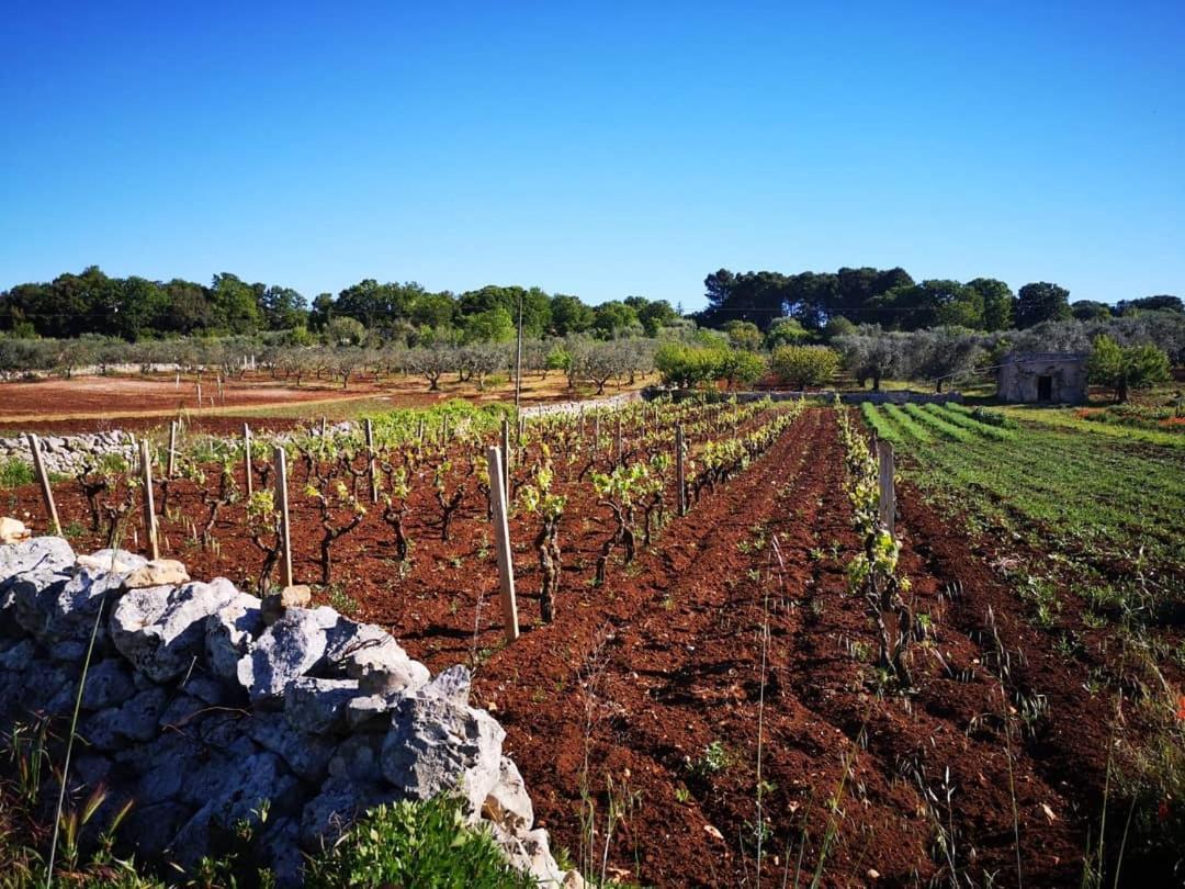 Dimora Verde B Con Trullo Masseria Poesia Cisternino Kamer foto