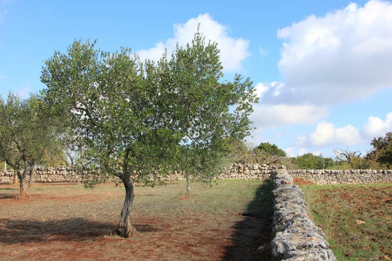 Dimora Verde B Con Trullo Masseria Poesia Cisternino Buitenkant foto